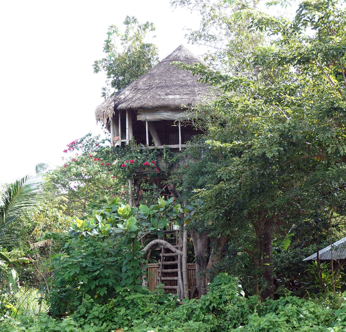 Kapusod Gives You the Retreat You Thought You Didn’t Need 1 kapusod treehouse