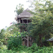 Kapusod Gives You the Retreat You Thought You Didn’t Need 2 kapusod treehouse