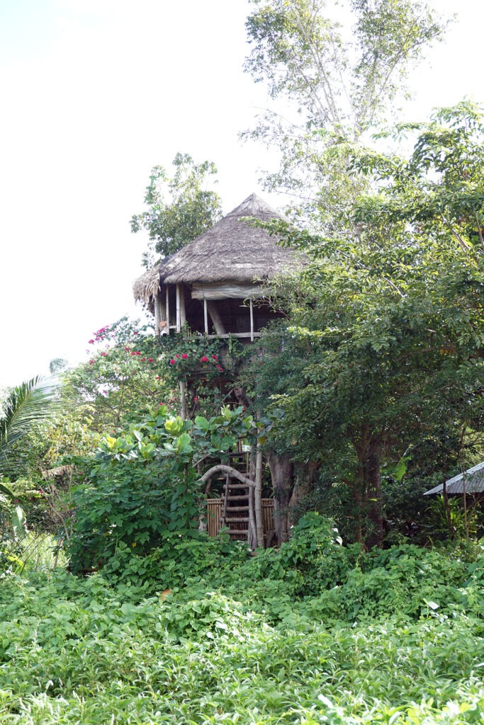 Kapusod Gives You the Retreat You Thought You Didn’t Need 3 You can opt to stay at the Kapusod Treehouse for a nice view of the lake.