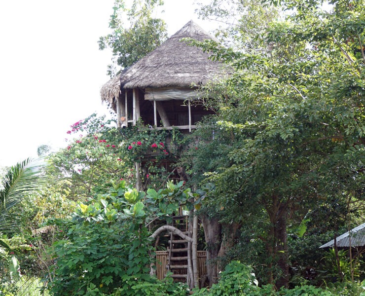 kapusod treehouse
