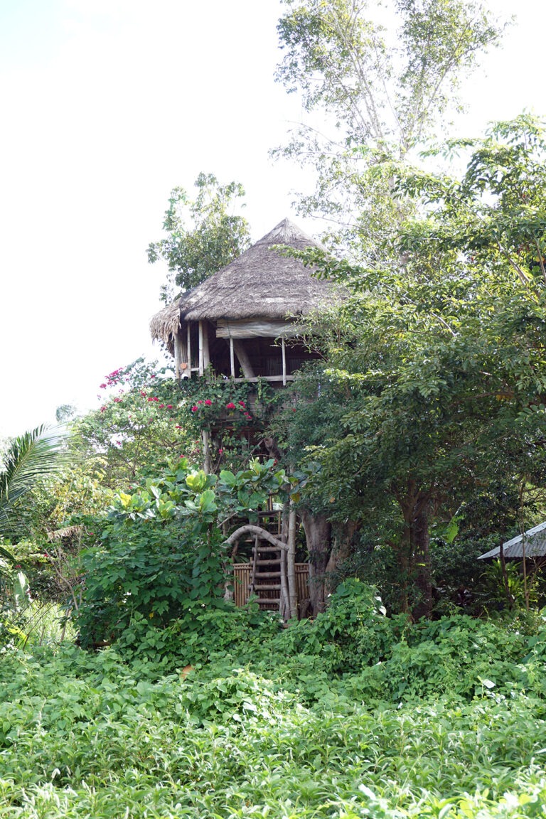 kapusod treehouse