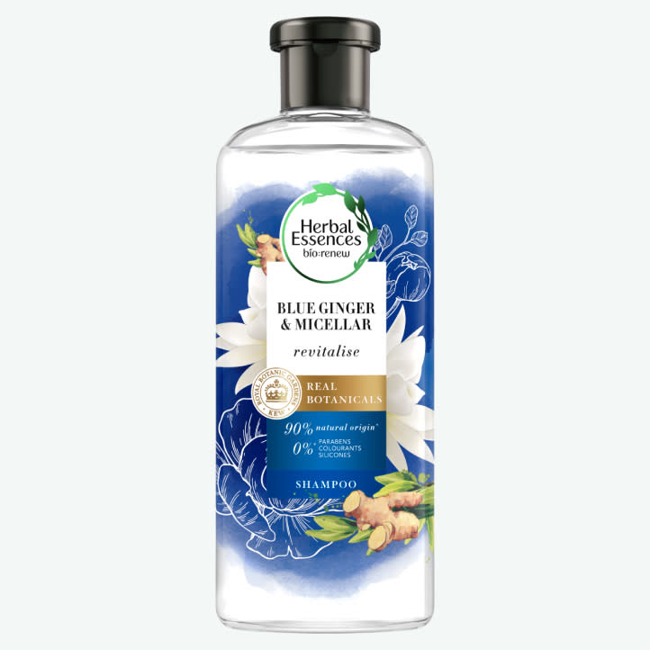 Is Ginger Shampoo the Answer to Dandruff and Hair Loss? 5 herbal essences bio renew blue ginger micellar shampoo