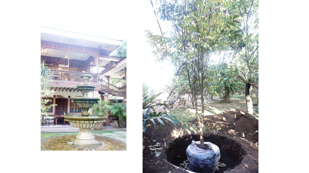 In Focus: Sulyap Gallery Cafe in San Pablo, Laguna 8 other areas in sulyap gallery cafe
