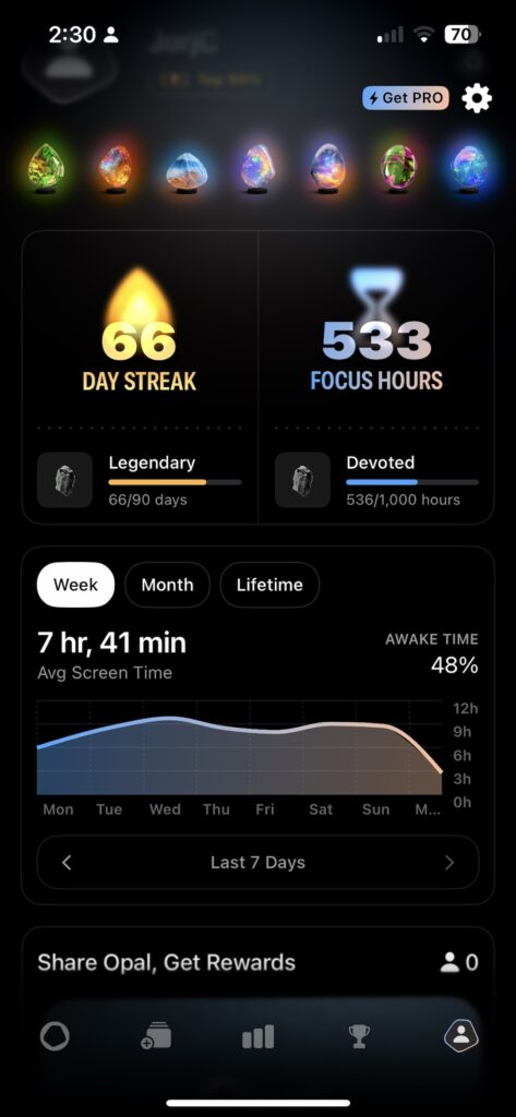 Last Quarter Lock In: What I'm Doing 4 opal screenshot